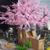 cay dao tet 14 - Cây Đào Giả Trang Trí 14