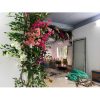 cay hoa giay 3 - Cung Cấp & Thi Công Hoa Giấy Giả