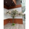 cay hoa hong gia 10 - Cây Hoa Hồng Giả Phong Cách Châu Âu