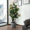 cay hoa hong gia 11 - Cây Hoa Hồng Giả Nhiều Màu
