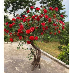 Cây Hoa Hồng Giả Kích Thước Lớn