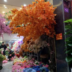 Cây Phong Giả Lá Đỏ 06