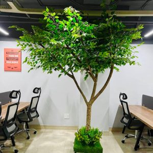 Cây Xanh Giả Trang Trí 05