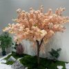 hoa anh dao 1 - Cây Hoa Anh Đào Giả 01