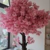 hoa anh dao 11 - Cây Hoa Anh Đào Giả 11