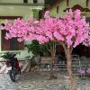 hoa anh dao 12 - Cây Hoa Anh Đào Giả 12