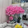 hoa anh dao 17 - Cây Hoa Anh Đào Giả 17