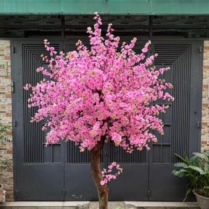Cây Hoa Anh Đào Giả 18