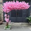 hoa anh dao 19 - Cây Hoa Anh Đào Giả 19
