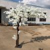 hoa anh dao 2 - Cây Hoa Anh Đào Giả 02
