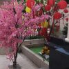 hoa anh dao 22 - Cây Hoa Anh Đào Giả 22