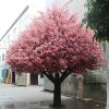 hoa anh dao 23 - Cây Hoa Anh Đào Giả 23