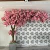 hoa anh dao 26 - Cây Hoa Anh Đào Giả 26