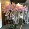 hoa anh dao 3 - Cây Hoa Anh Đào Giả 03