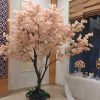 hoa anh dao 34 - Cây Hoa Anh Đào Giả 34