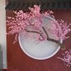 hoa anh dao 35 - Cây Hoa Anh Đào Giả 35