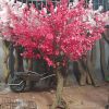 hoa anh dao 36 - Cây Hoa Anh Đào Giả 36