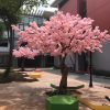hoa anh dao 37 - Cây Hoa Anh Đào Giả 37
