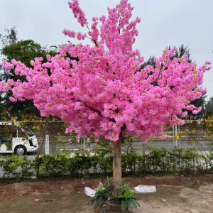 Cây Hoa Anh Đào Giả 41