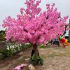 hoa anh dao 42 - Cây Hoa Anh Đào Giả 42