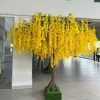 hoa tu dang 4 - Cây Hoa Tử Đằng 04